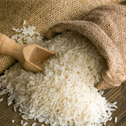 Premium Indian Rice